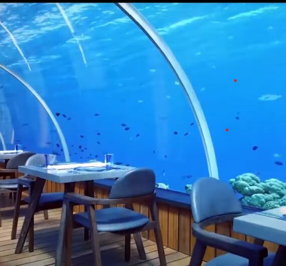 Cena Sott'Acqua